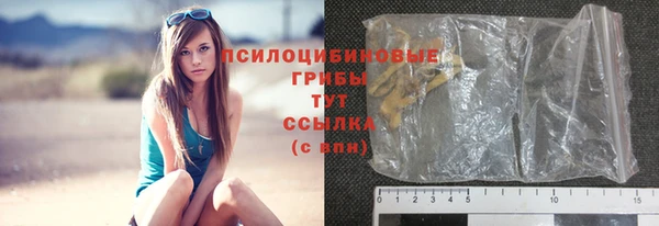 spice Мегион