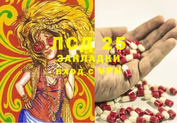 spice Мегион