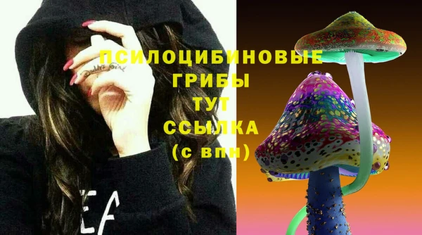 spice Мегион