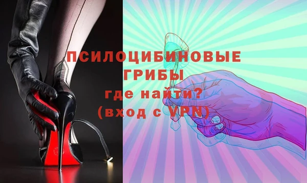spice Мегион