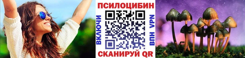 Галлюциногенные грибы мицелий Ермолино